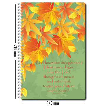 I have plans for you - Notebook